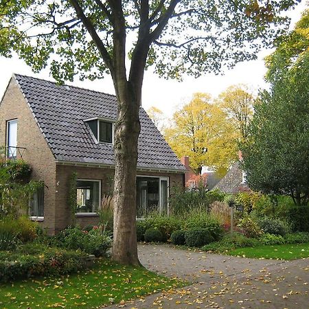 B&B De Esdoorn Norg Zewnętrze zdjęcie