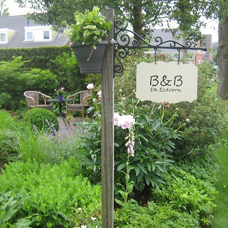 B&B De Esdoorn Norg Zewnętrze zdjęcie