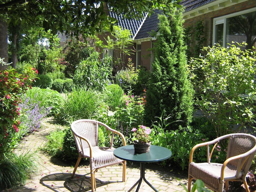 B&B De Esdoorn Norg Zewnętrze zdjęcie